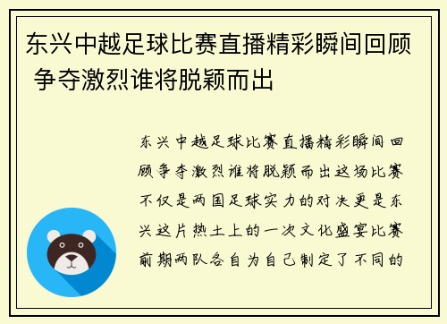 东兴中越足球比赛直播精彩瞬间回顾 争夺激烈谁将脱颖而出